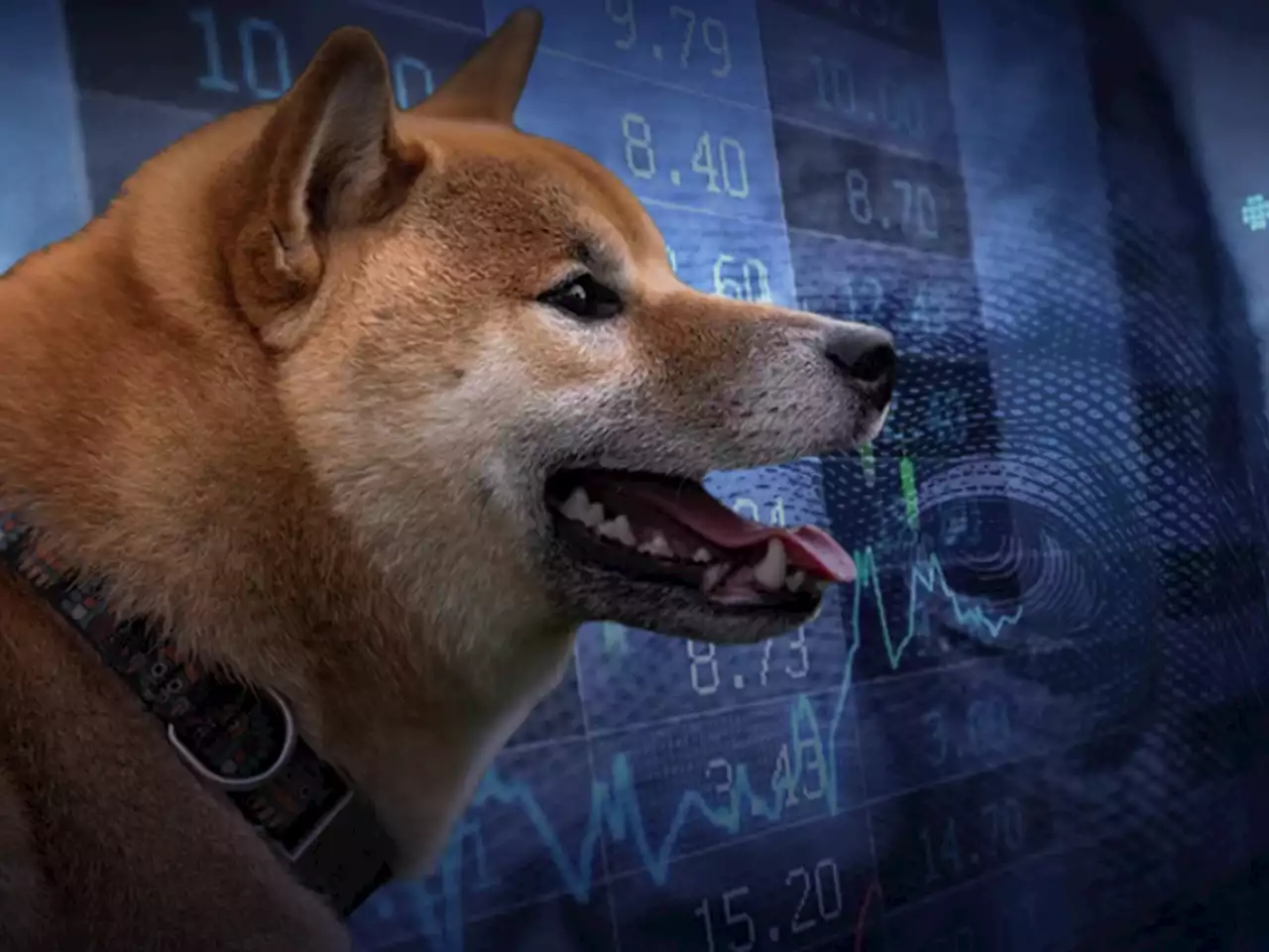 Shiba Inu Adds Zero to Its Price Point as Key Altcoins Decline