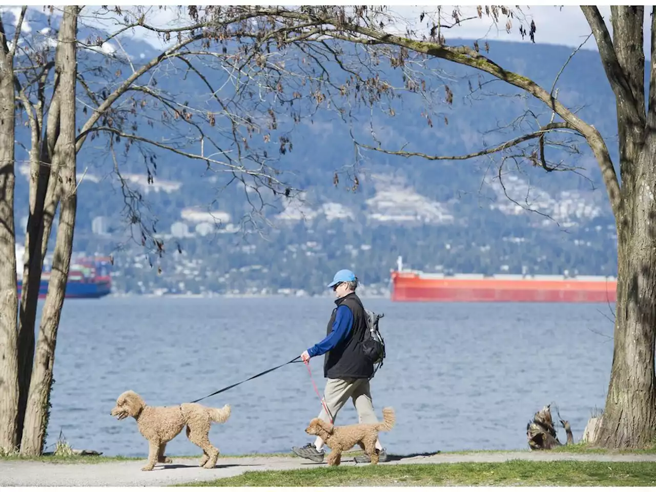 Vancouver Weather: Mix of sun and clouds, chance of showers