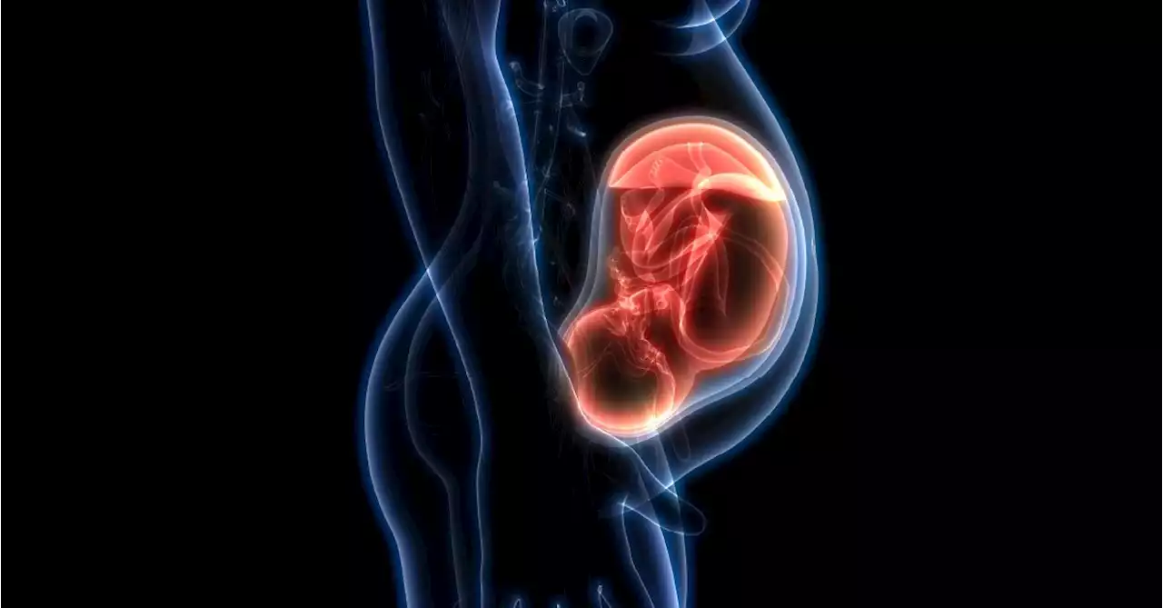 COVID Exposure in Womb Tied to Neurodevelopmental Disorders