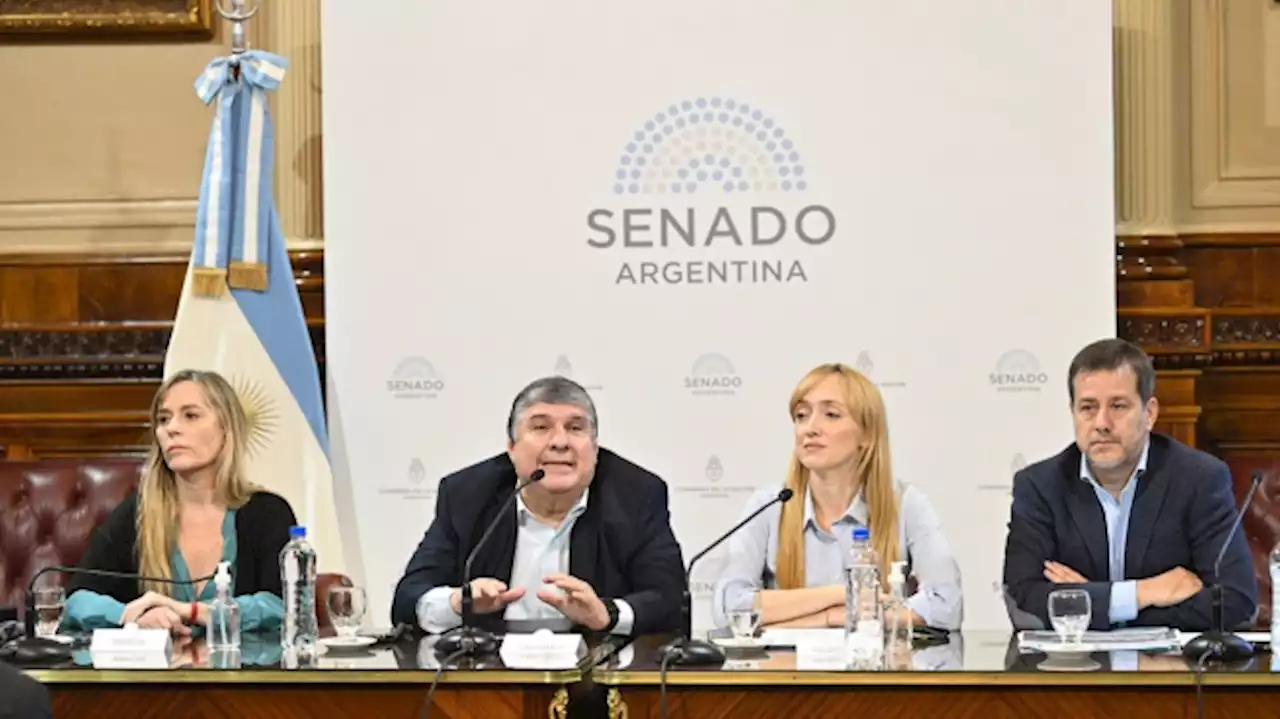 El Senado inicia el debate del proyecto para regularizar deudas previsionales