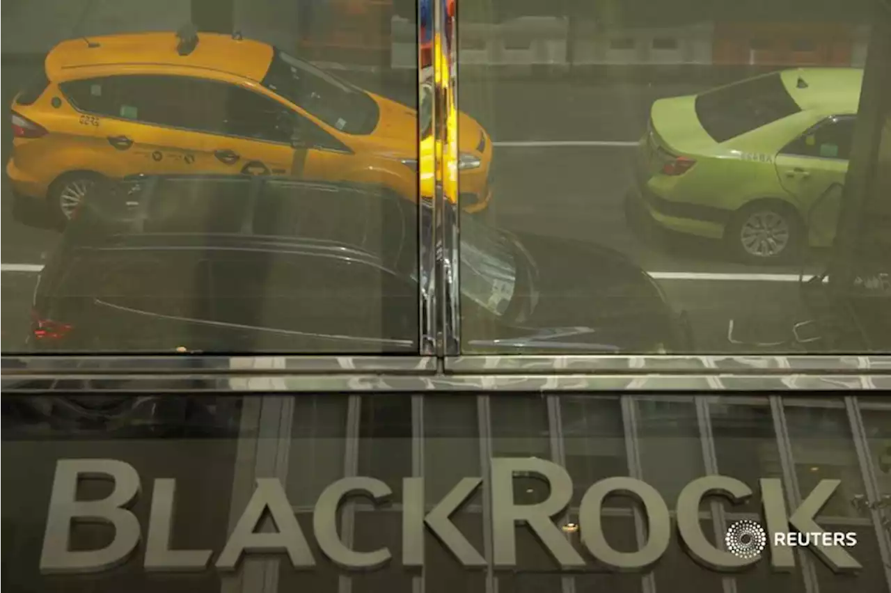 BVTV: BlackRock in charge | Reuters Video