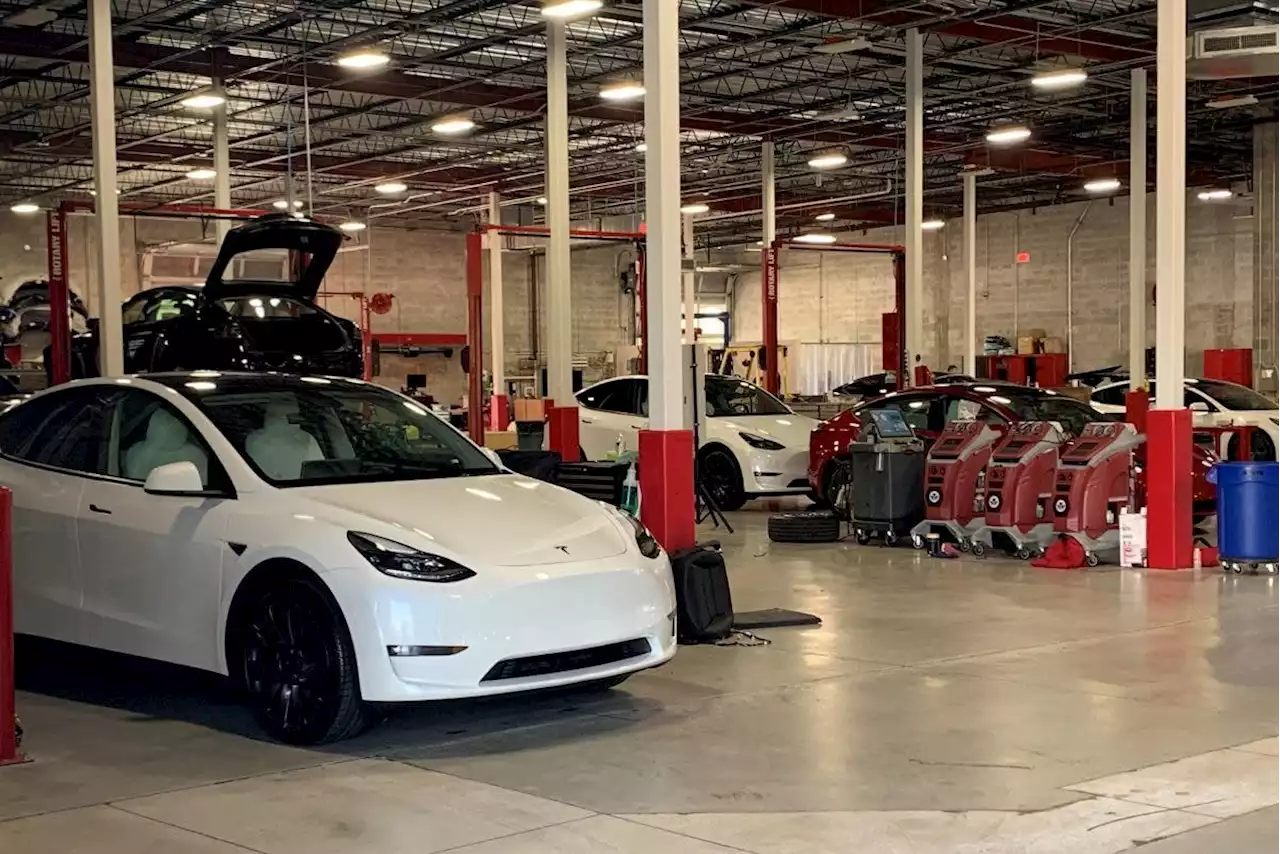 Elon Musk Sees High Demand For RHD Tesla Model Y In Oz, Fremont Factory Sets Production Record