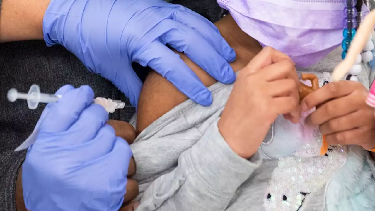 U.S. FDA: Pfizer COVID-19 shot appears effective for kids under 5