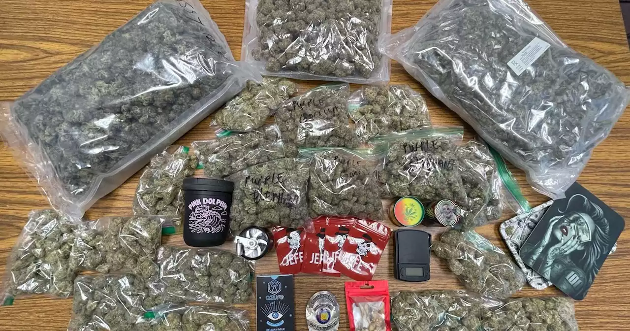 Abbeville Police arrest two for trafficking marijuana