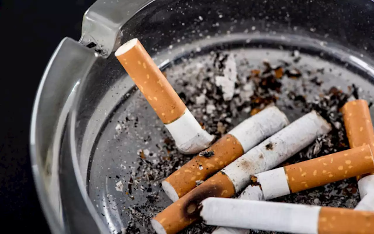 SCA dismisses govt's bid to overturn tobacco sales ban ruling