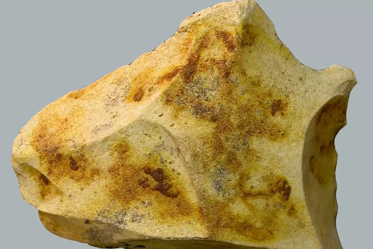 Archeologists use artificial intelligence to find evidence of fire use from a million years ago