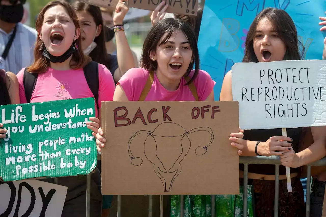 Liberal, NDP MPs accuse Conservatives of filibustering over women’s health study