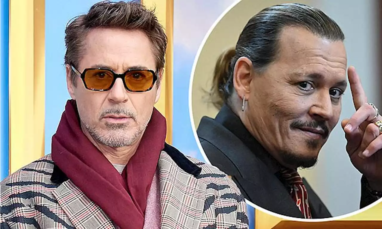 Robert Downey Jr. celebrates Johnny Depp's trial win