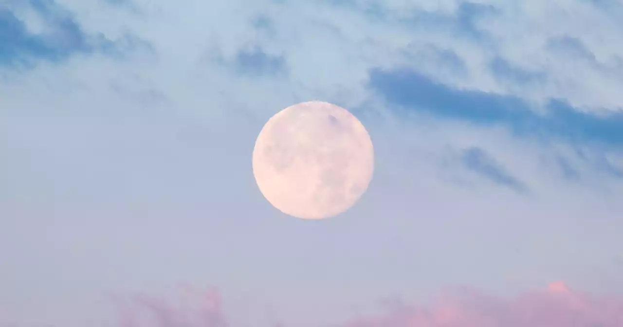 The Full Moon In Sagittarius Is Encouraging You To Build Connections