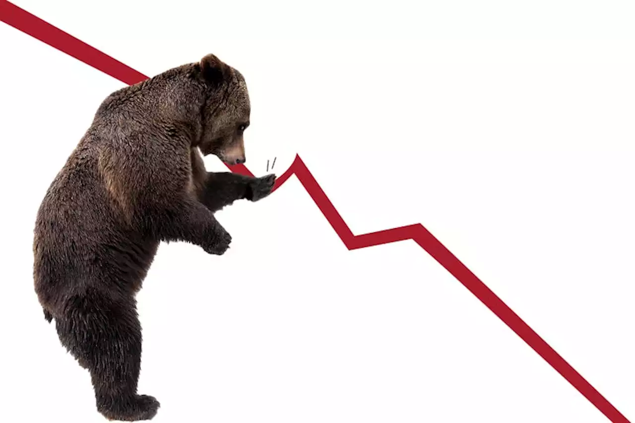 We’re in a Bear Market! Here’s Everything You Need to Know.