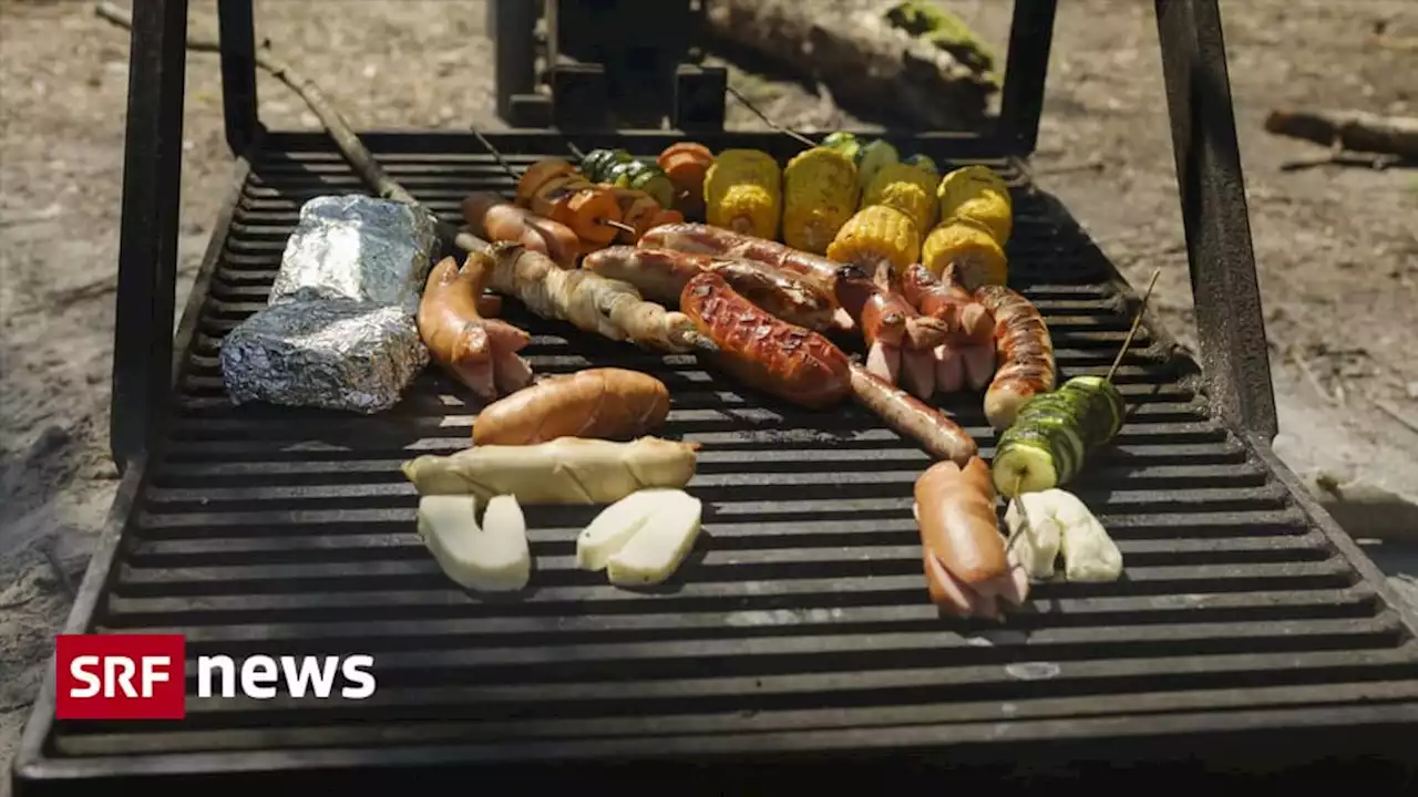 Streit am Grill - Darf man Tiere essen?