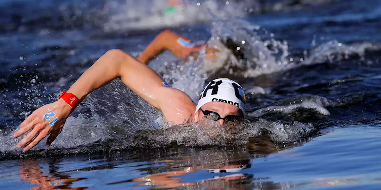 Schwimm-WM in Budapest: „Ich muss nur schneller schwimmen“