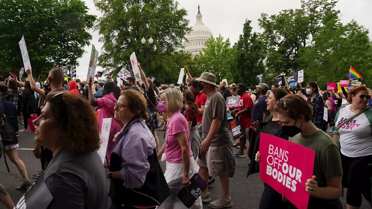 Politician Supports Right Of Protesters To Assemble Anywhere SUV Can Plow Through Them