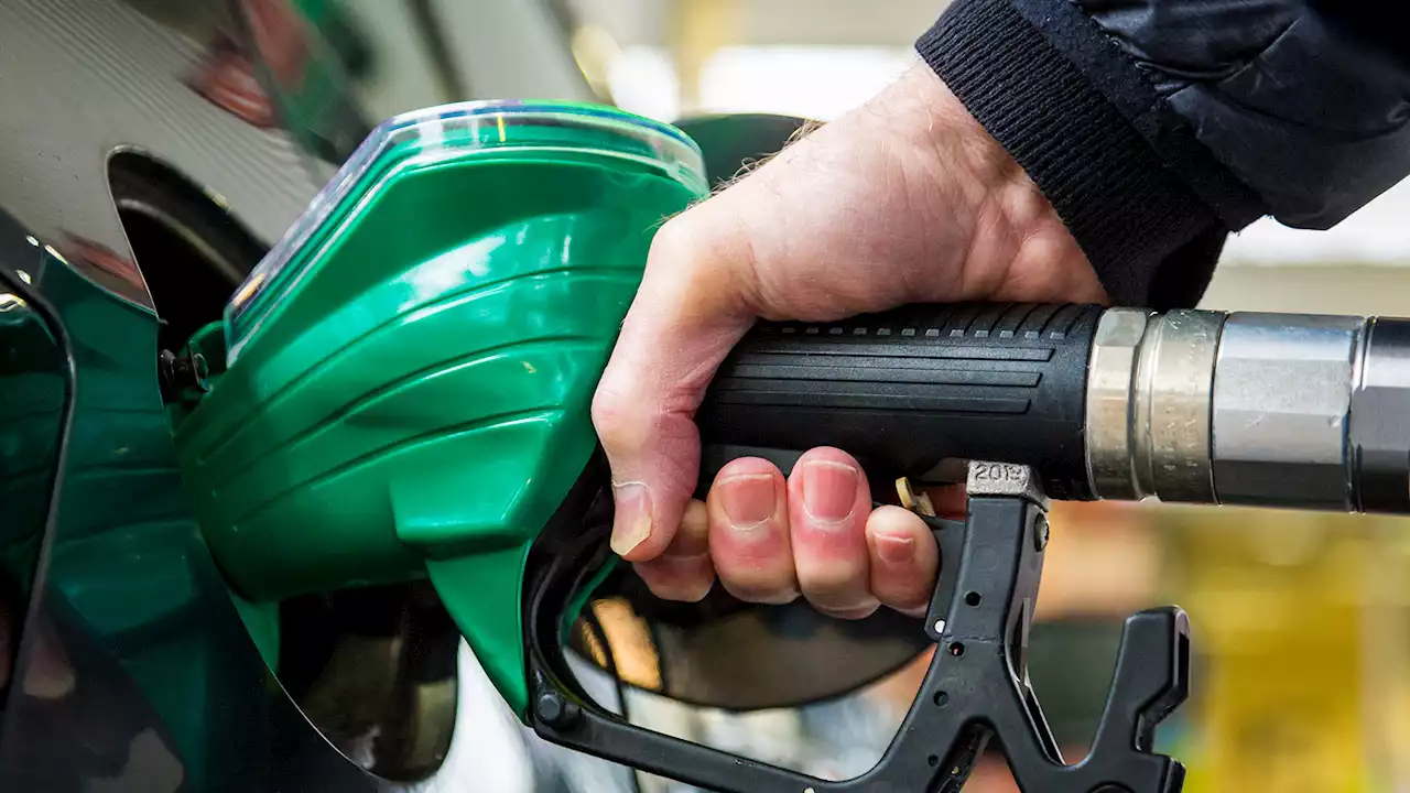 Calls for fuel duty cut grow after pump prices rose 7p to 185p a litre in a week