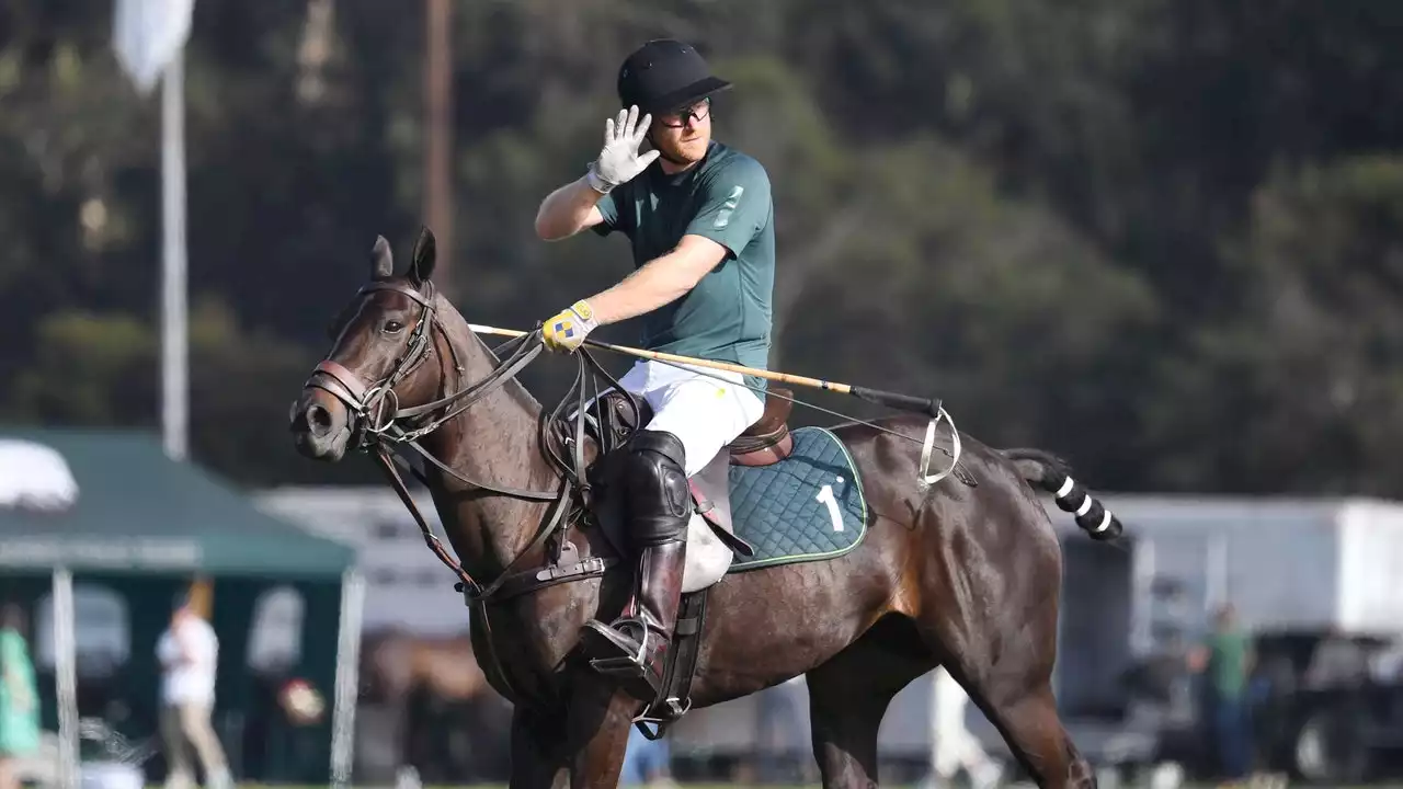 Prince Harry Took a Tumble During a Polo Match