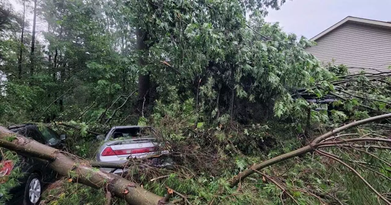 LIVE UPDATES: Cleanup begins after damaging winds and heavy rain overnight