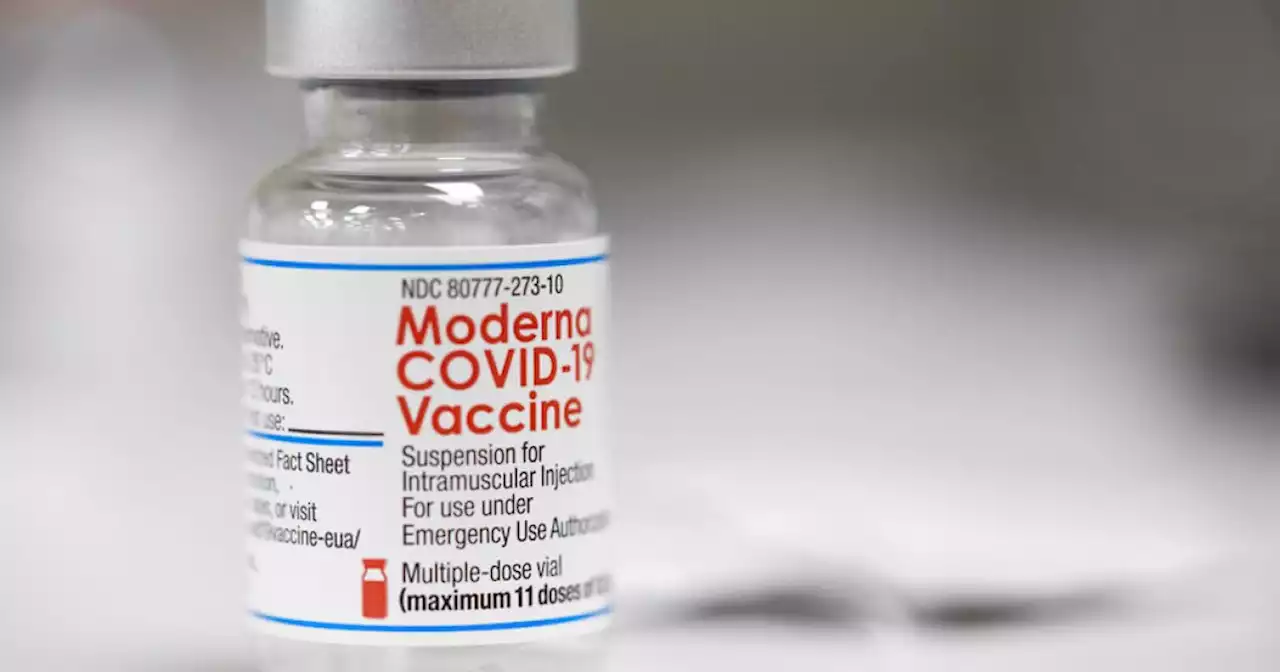 FDA panel says Pfizer, Moderna's COVID-19 shots for tots safe and effective