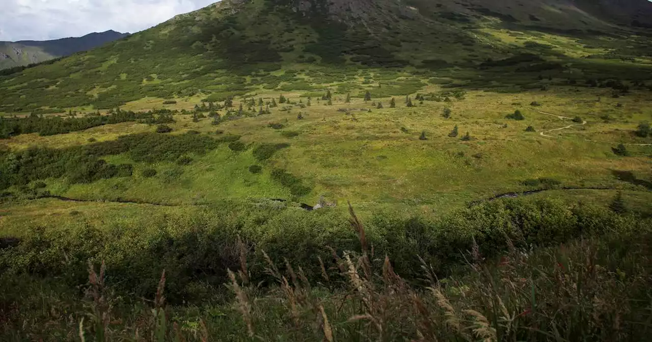 Move over, Flattop: Little O’Malley peak may now be Anchorage’s most accessible hike