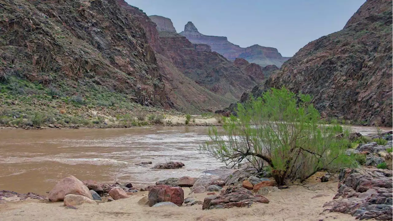 Woman dies after falling into river at Grand Canyon, officials say