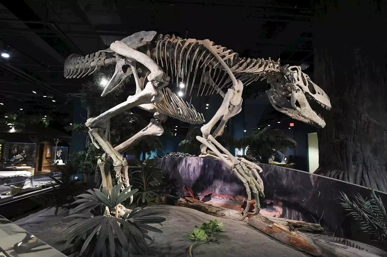 How many dinosaur fossils are in Alabama?