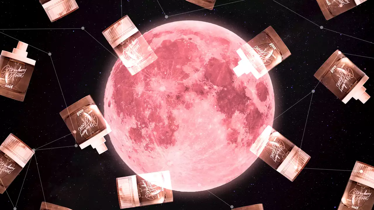 Why Snif's Strawberry Moon Fragrance Keeps Selling Out