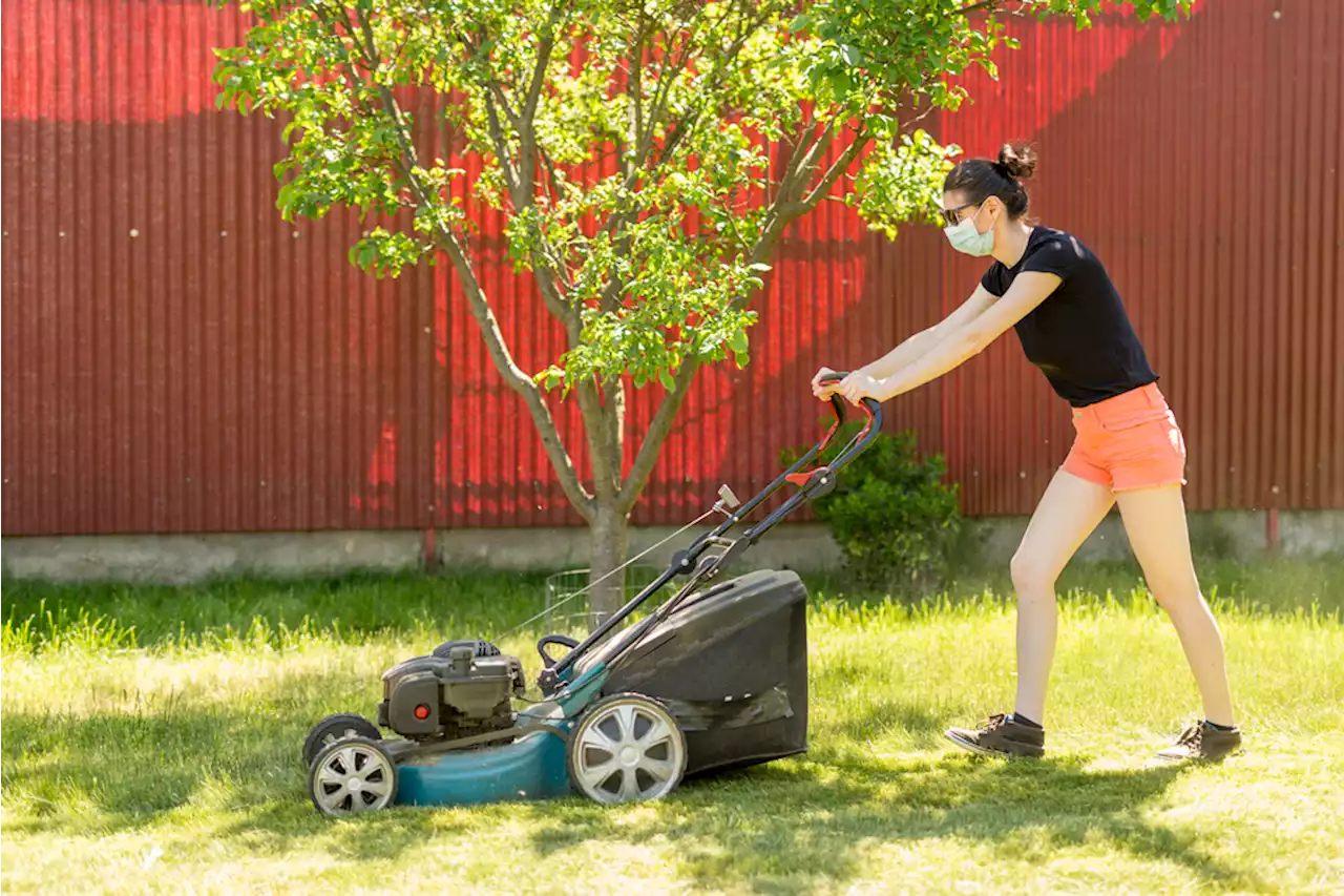 If You See This in Your Yard, Don't Mow Without a Mask — Best Life