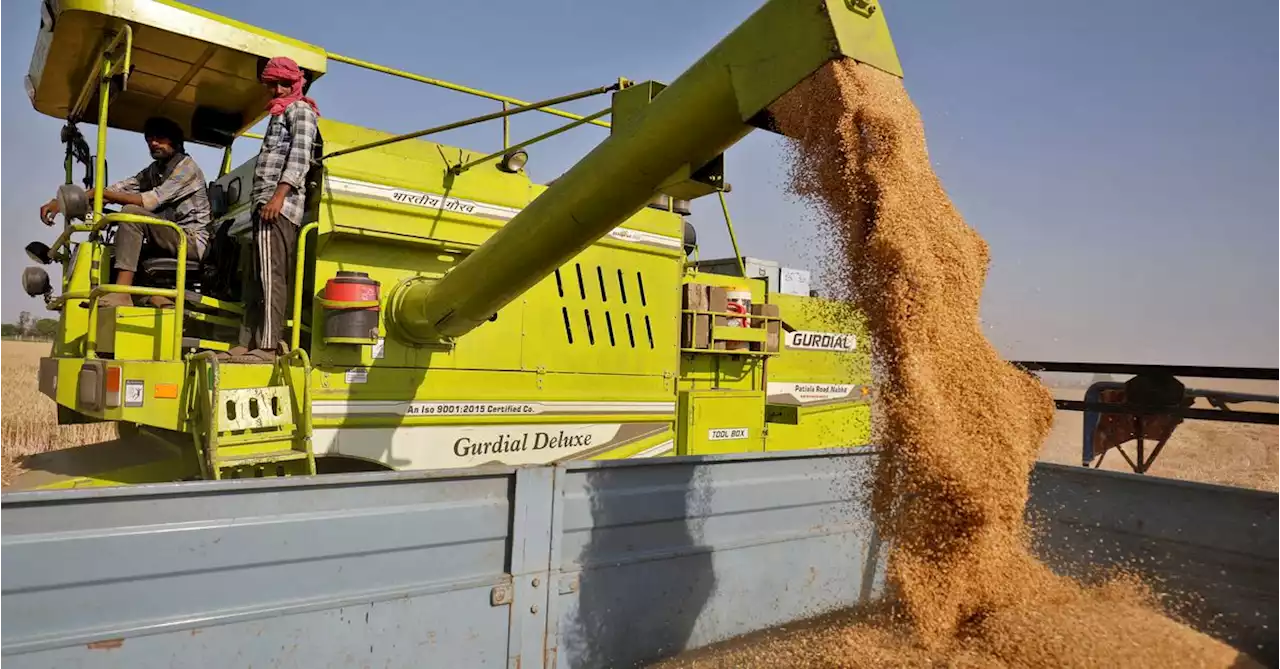 Breakingviews - UAE to suspend exports of Indian wheat for four months