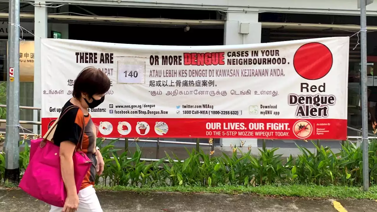 Dengue outbreak: Wolbachia mosquito project to be expanded to 1,400 more HDB blocks following 'promising' results