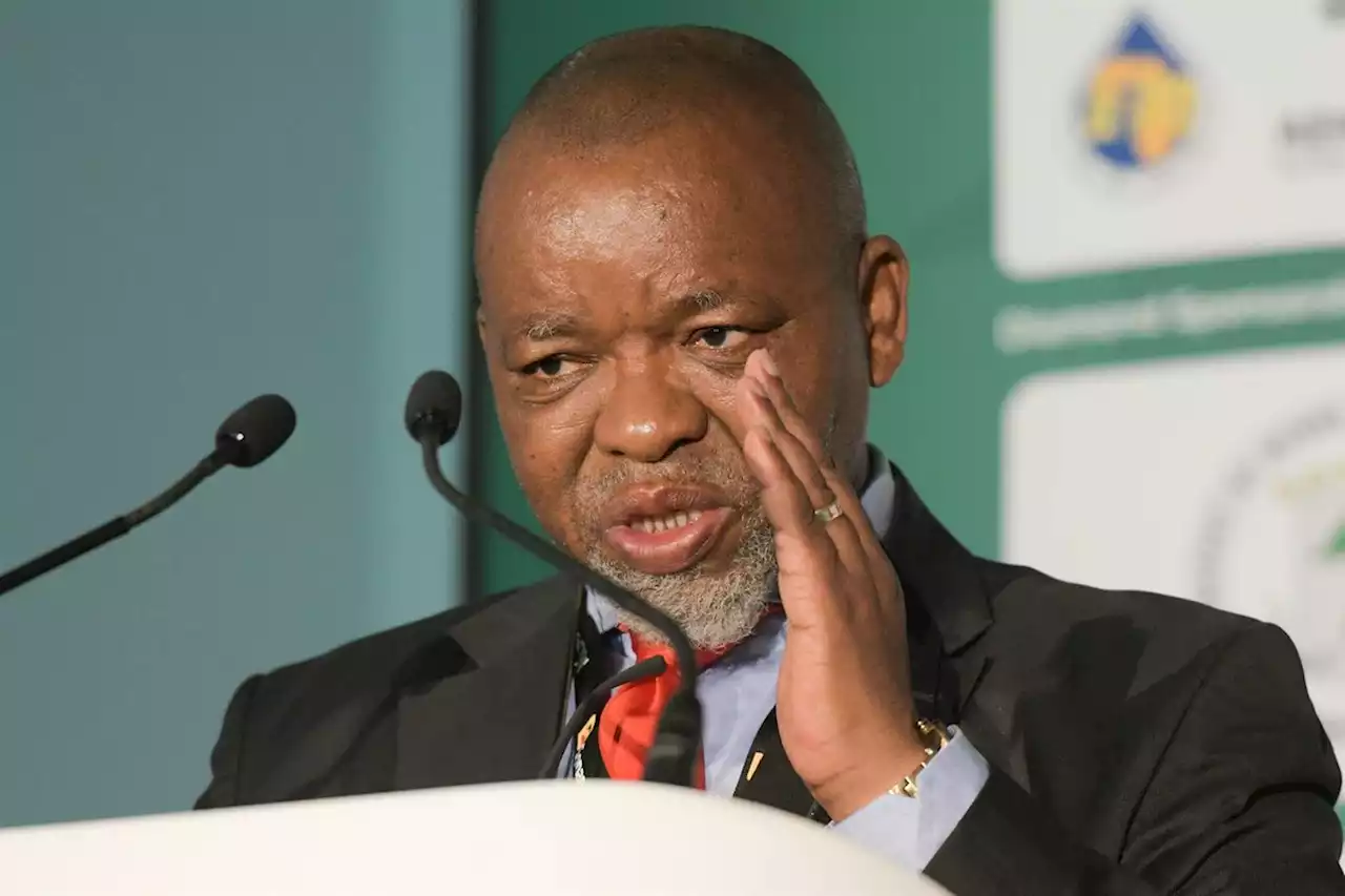 Government considers Russia oil as Mantashe pushes for petroleum and gas produced in SA | Citypress