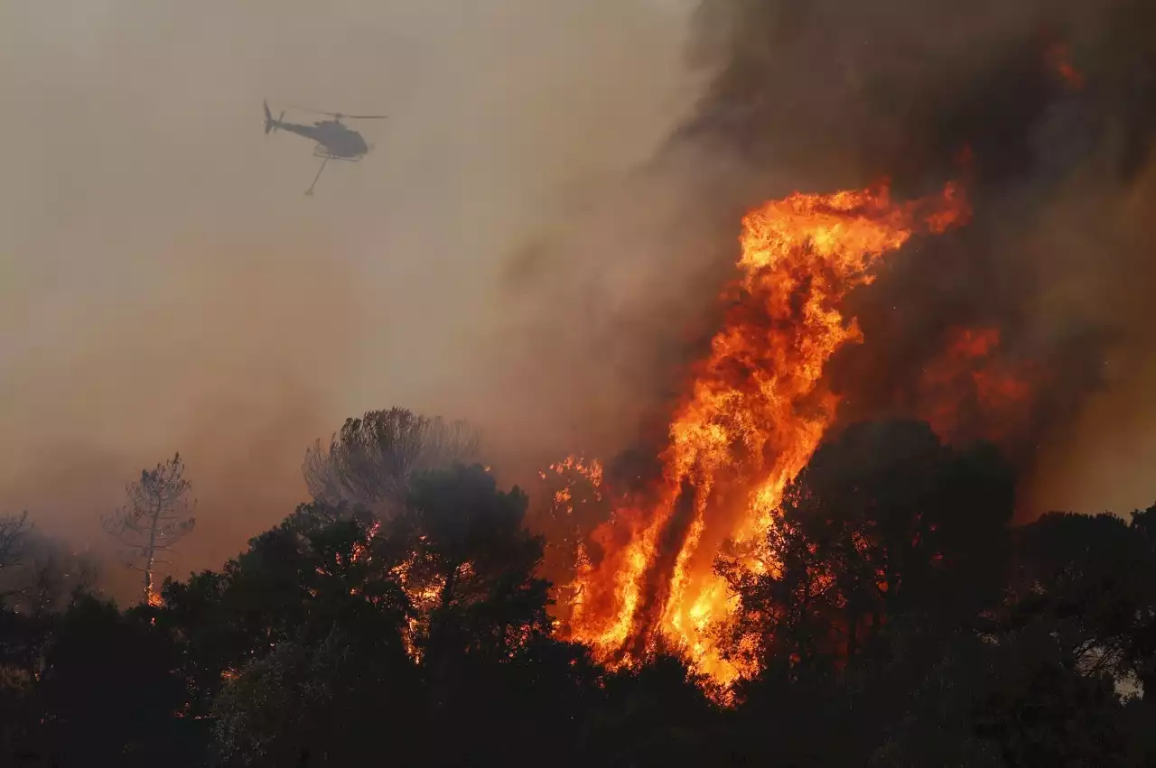 heatwave : France fights forest fire as early heatwave spreads