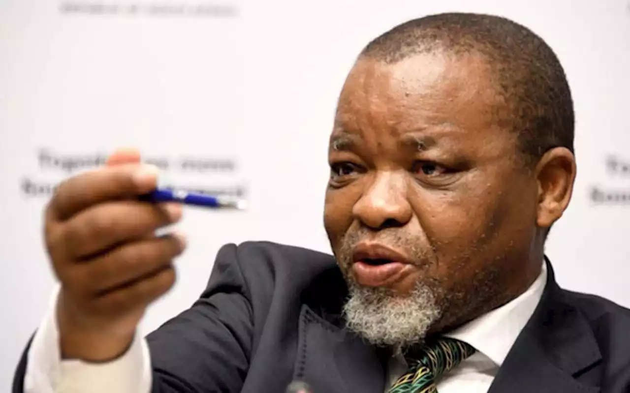 'We should consider importing crude oil from Russia' - Mantashe tells Parly