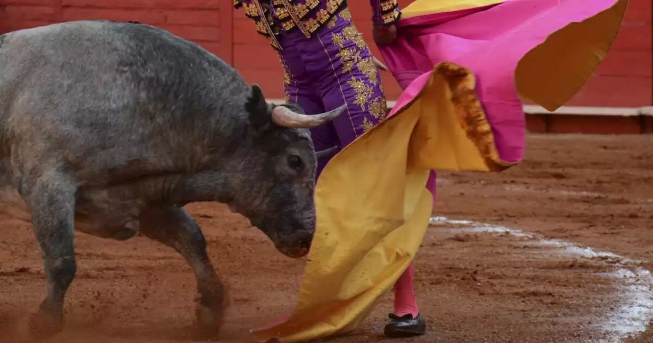 Dictamen de ley anti-corridas de toros vuelve a quedar en pausa en la CDMX