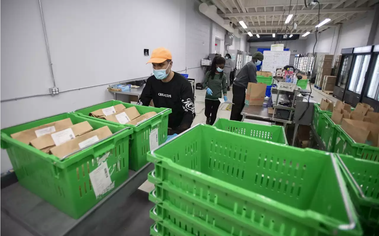 Big hit in store for Canadian tech sector as wave of layoffs looms, industry players say