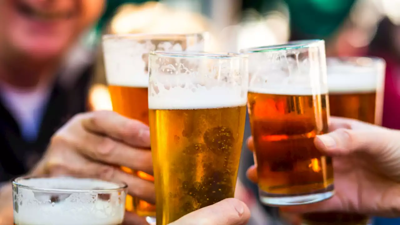 Lager beer improves gut health in men. Really.