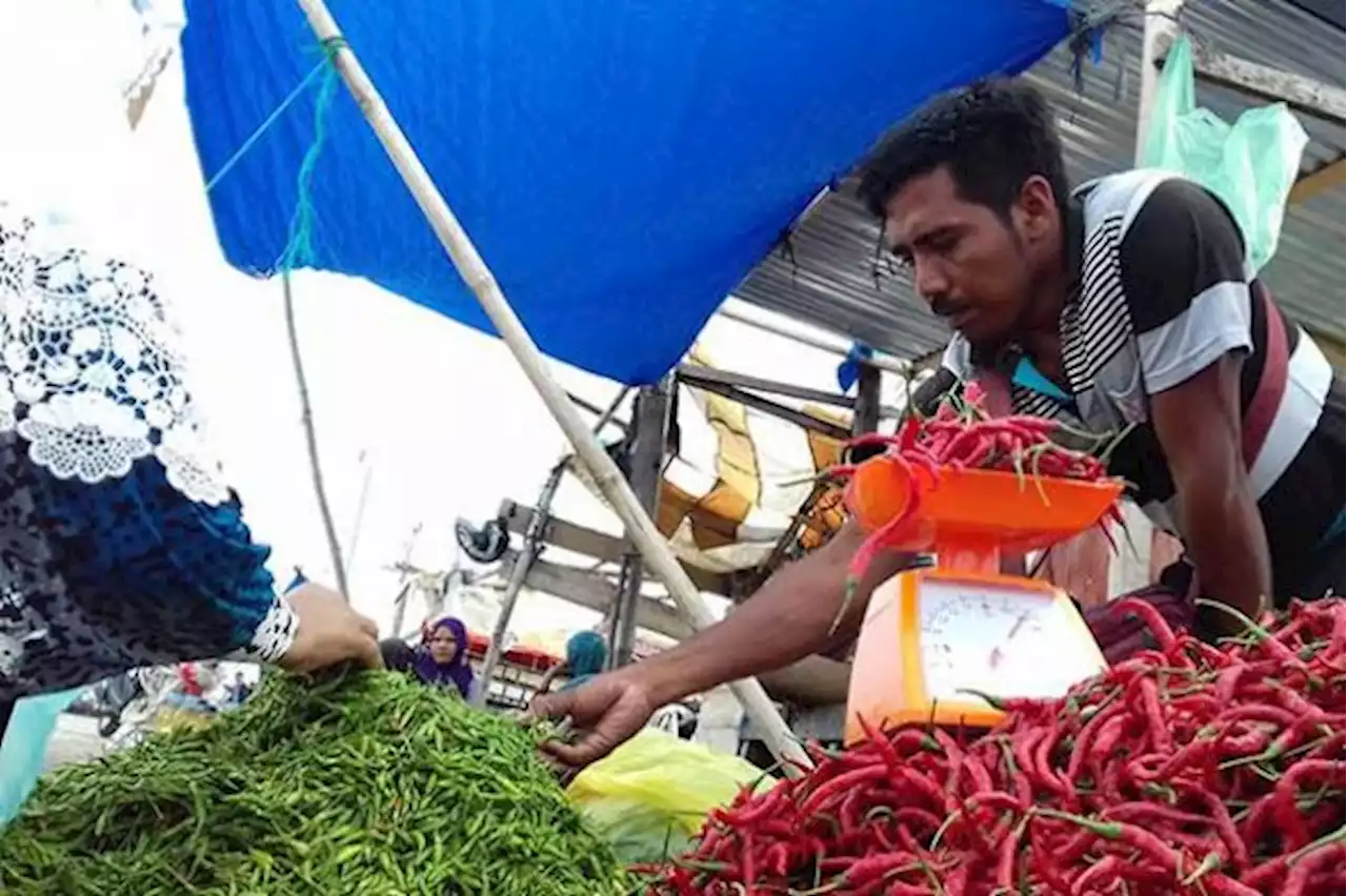 Harga Cabai Merah di Jambi Tembus Rp80 ribu/kg