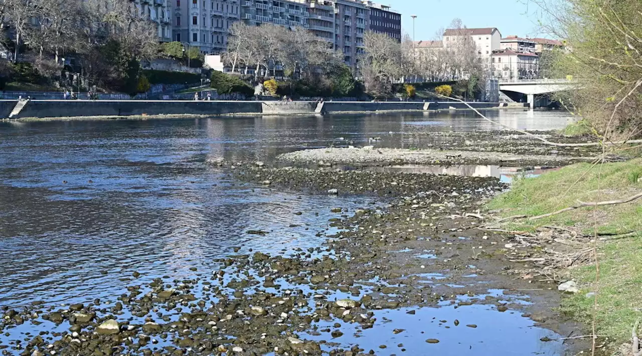 Autorità del Po: Sos siccità, servono autobotti per l'acqua in alcune città del nord