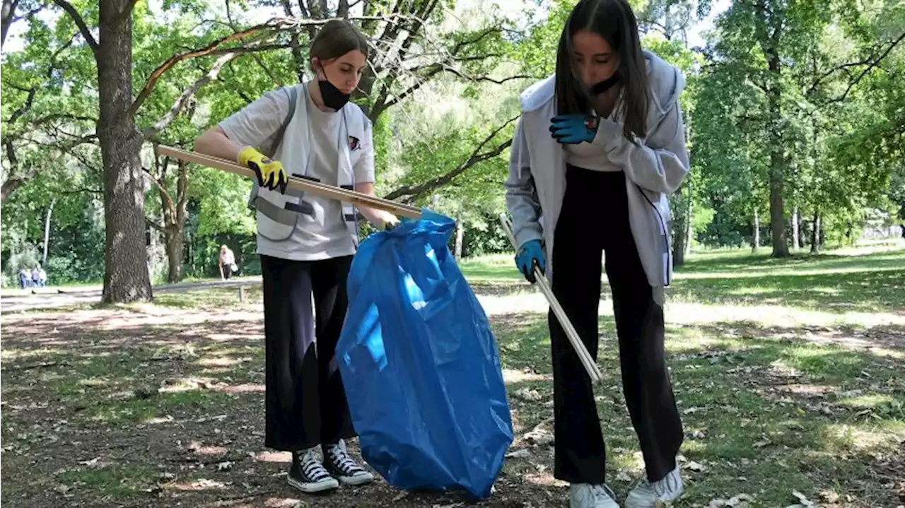 Abfallsammeln im Kollektiv: Auftakt zum World Cleanup Day