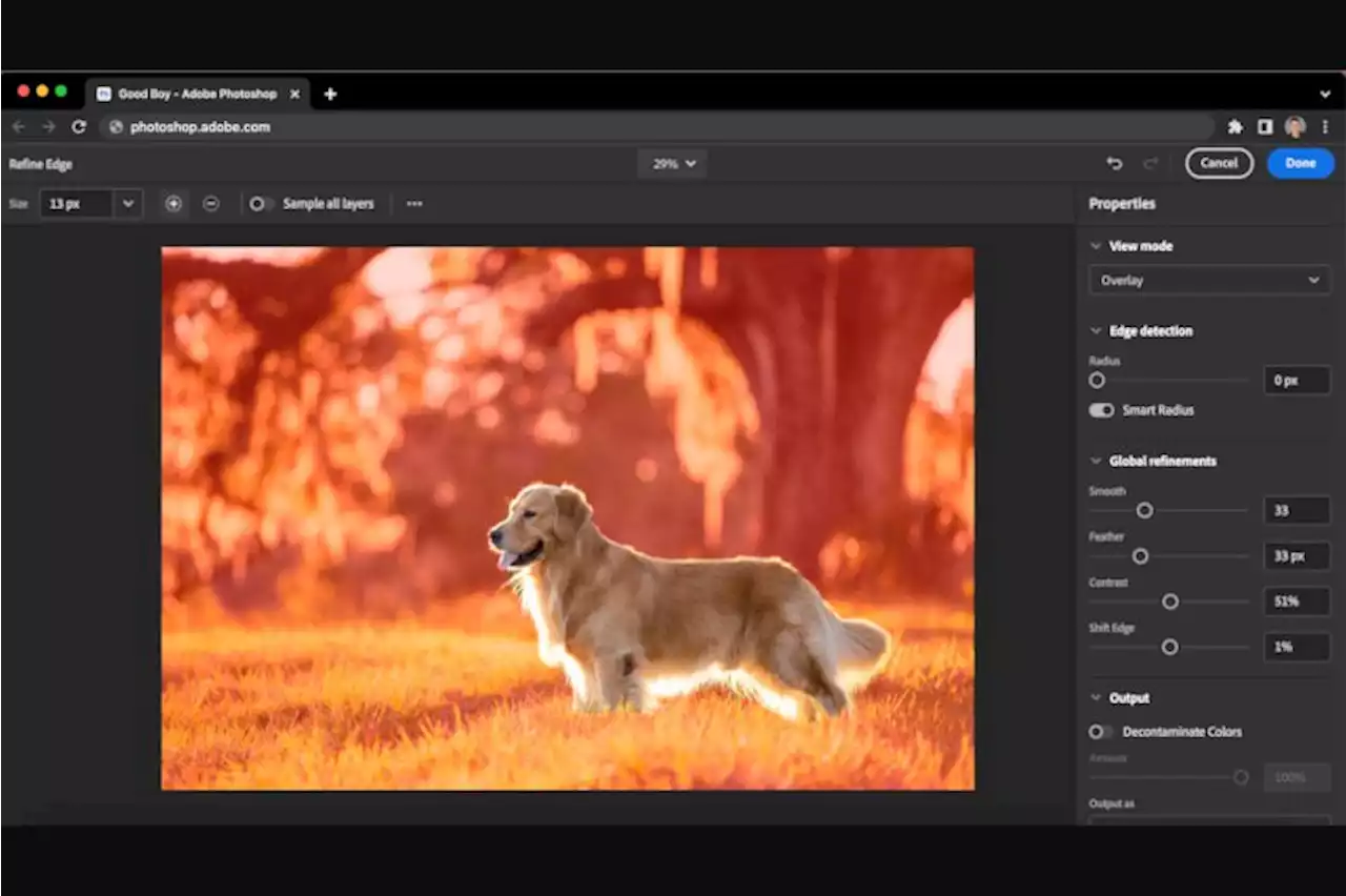 Adobe tests free web-based Photoshop