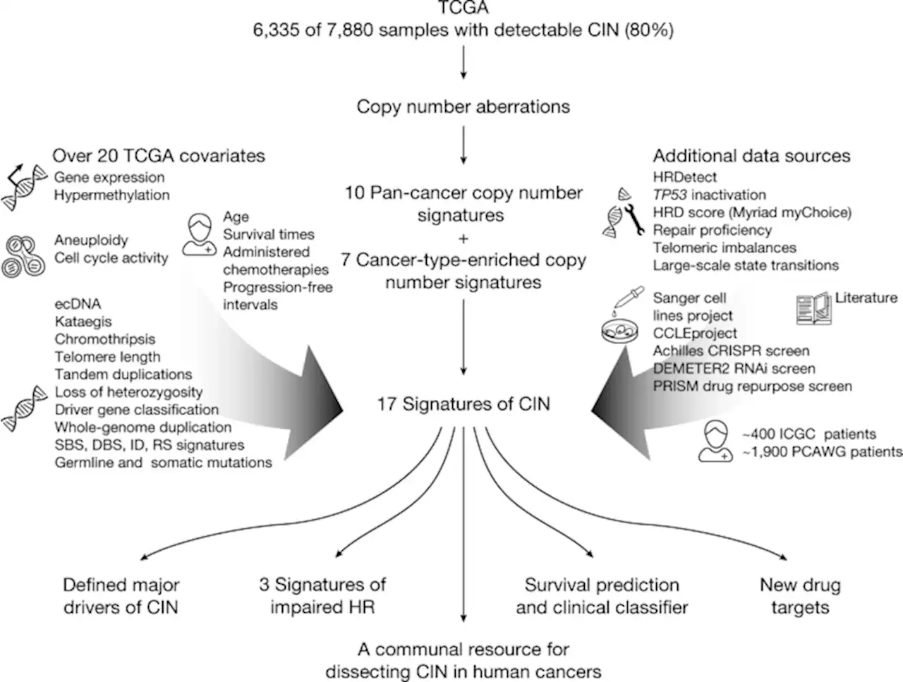 A pan-cancer compendium of chromosomal instability - Nature