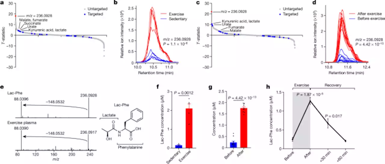 An exercise-inducible metabolite that suppresses feeding and obesity - Nature