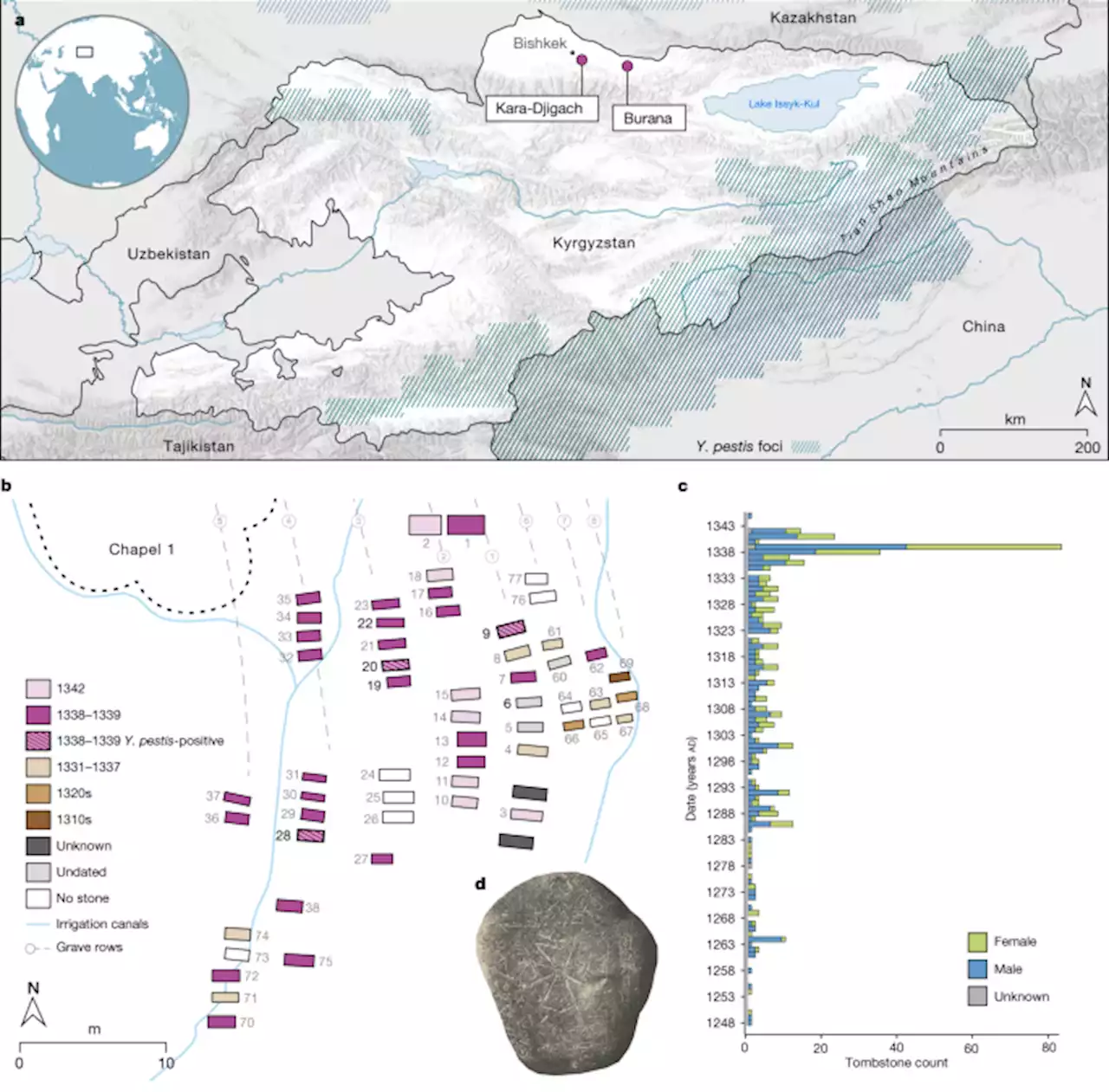 The source of the Black Death in fourteenth-century central Eurasia - Nature