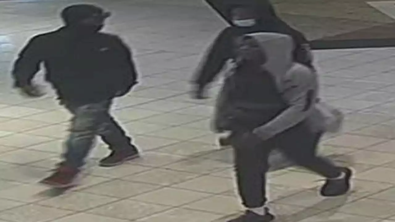 3 Teens in Stolen Car Try to Rob 2 Women Outside KOP Mall, Police Say