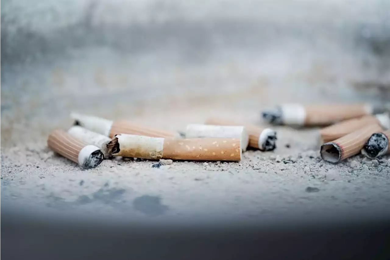 Let people zol: SCA slams govt's cigarette ban, rules it limited SA's rights | Fin24