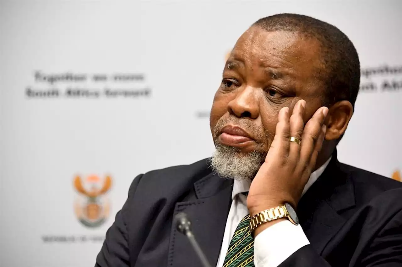 Mantashe sounds the alarm on dodgy diesel in SA | Fin24