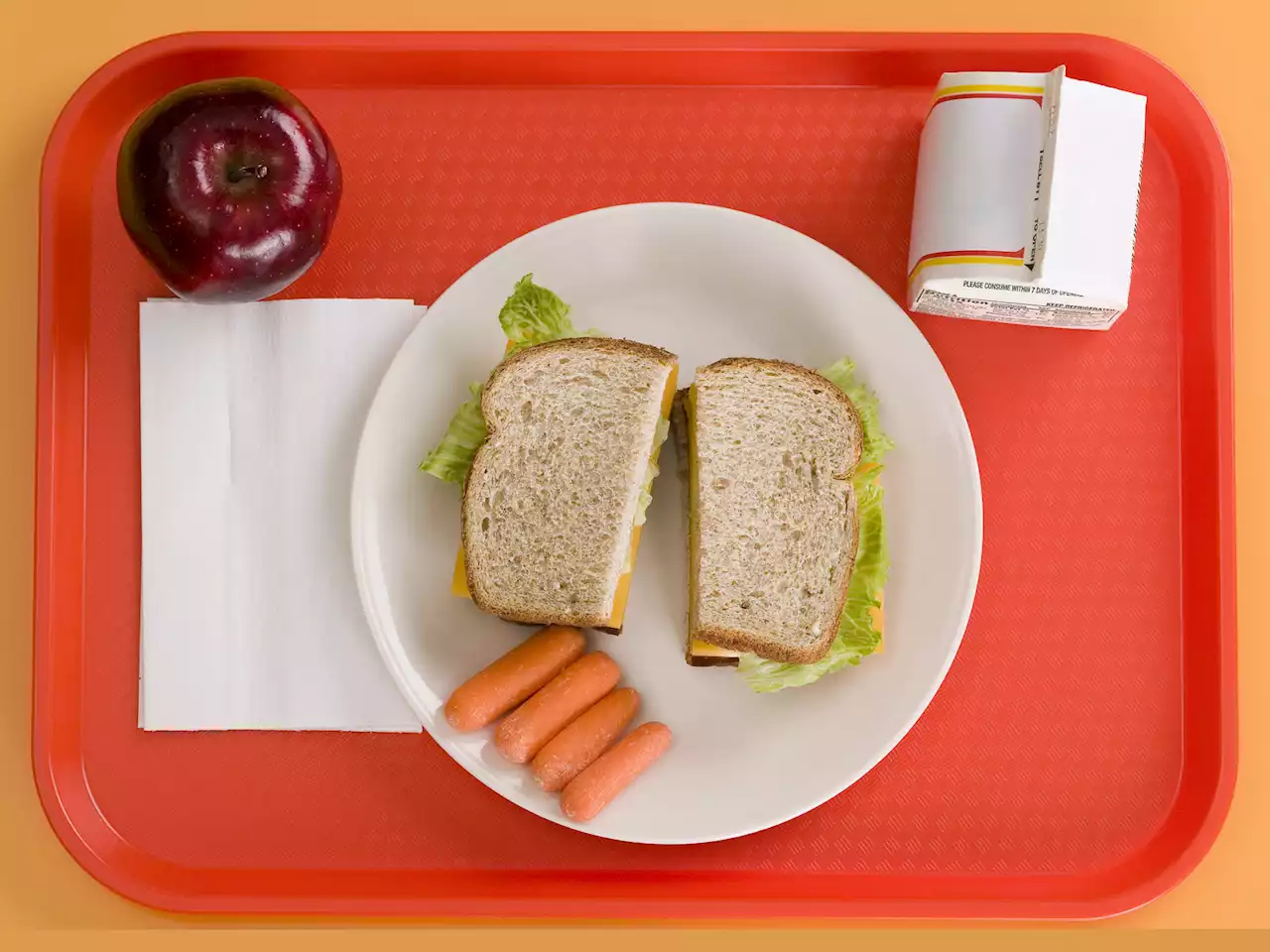 U.S. free school meal program ends June 30—what next?