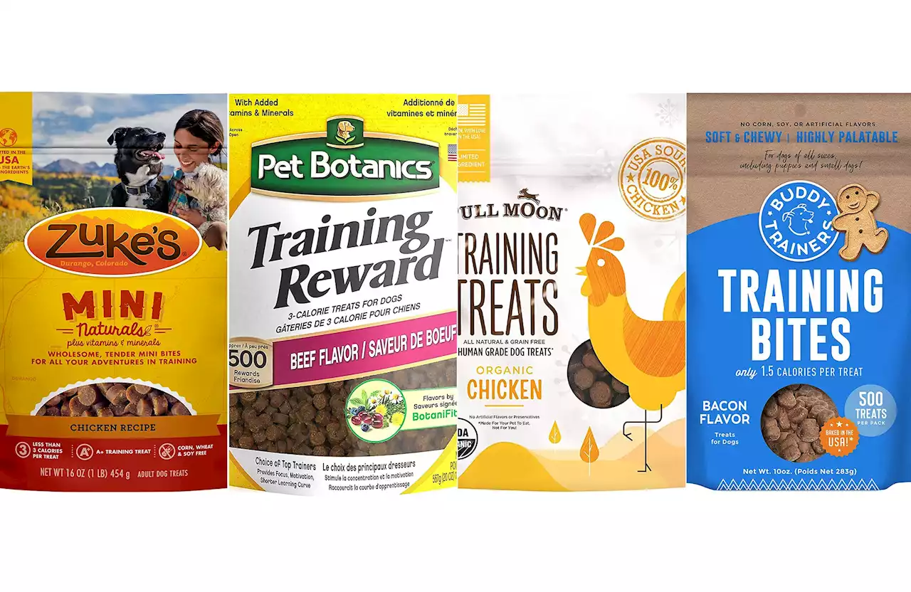 Best dog training treats of 2022