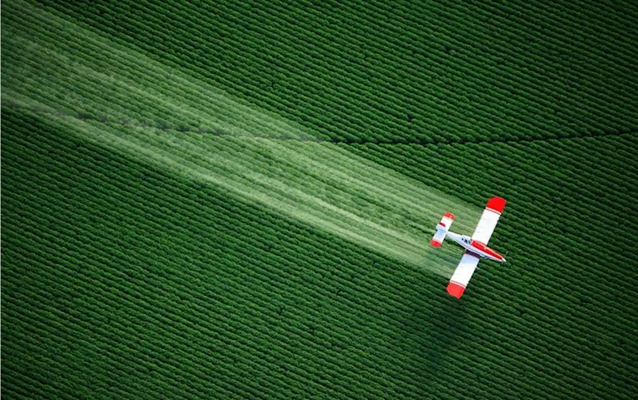 Pesticides Are Spreading Toxic &lsquo;Forever Chemicals,&rsquo; Scientists Warn