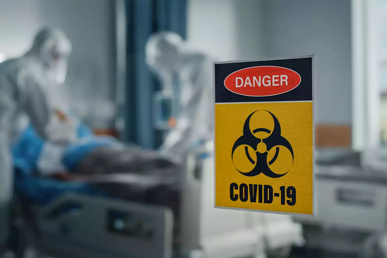 Covid update: 1,903 new cases recorded in SA | The Citizen