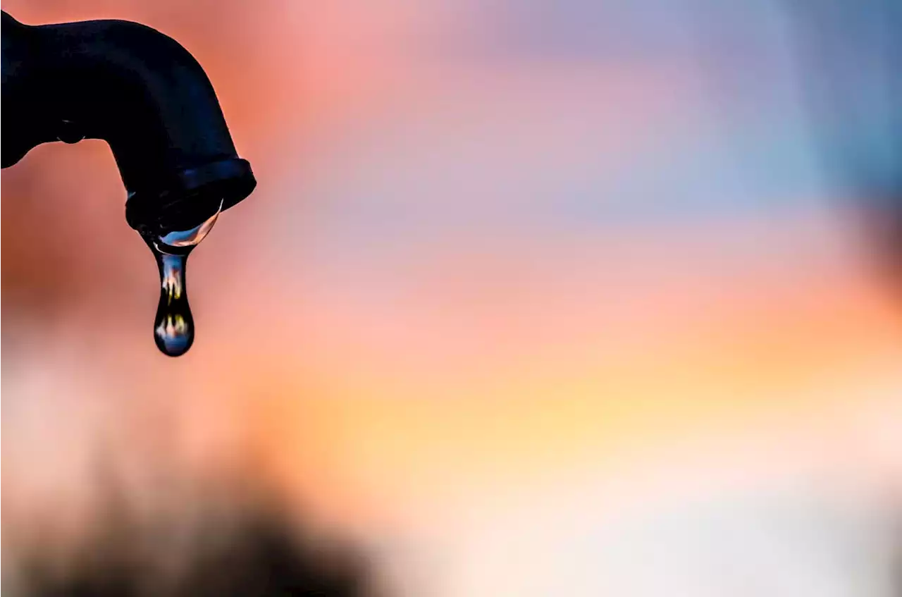 Kouga municipality imposes six-hour water outages | The Citizen