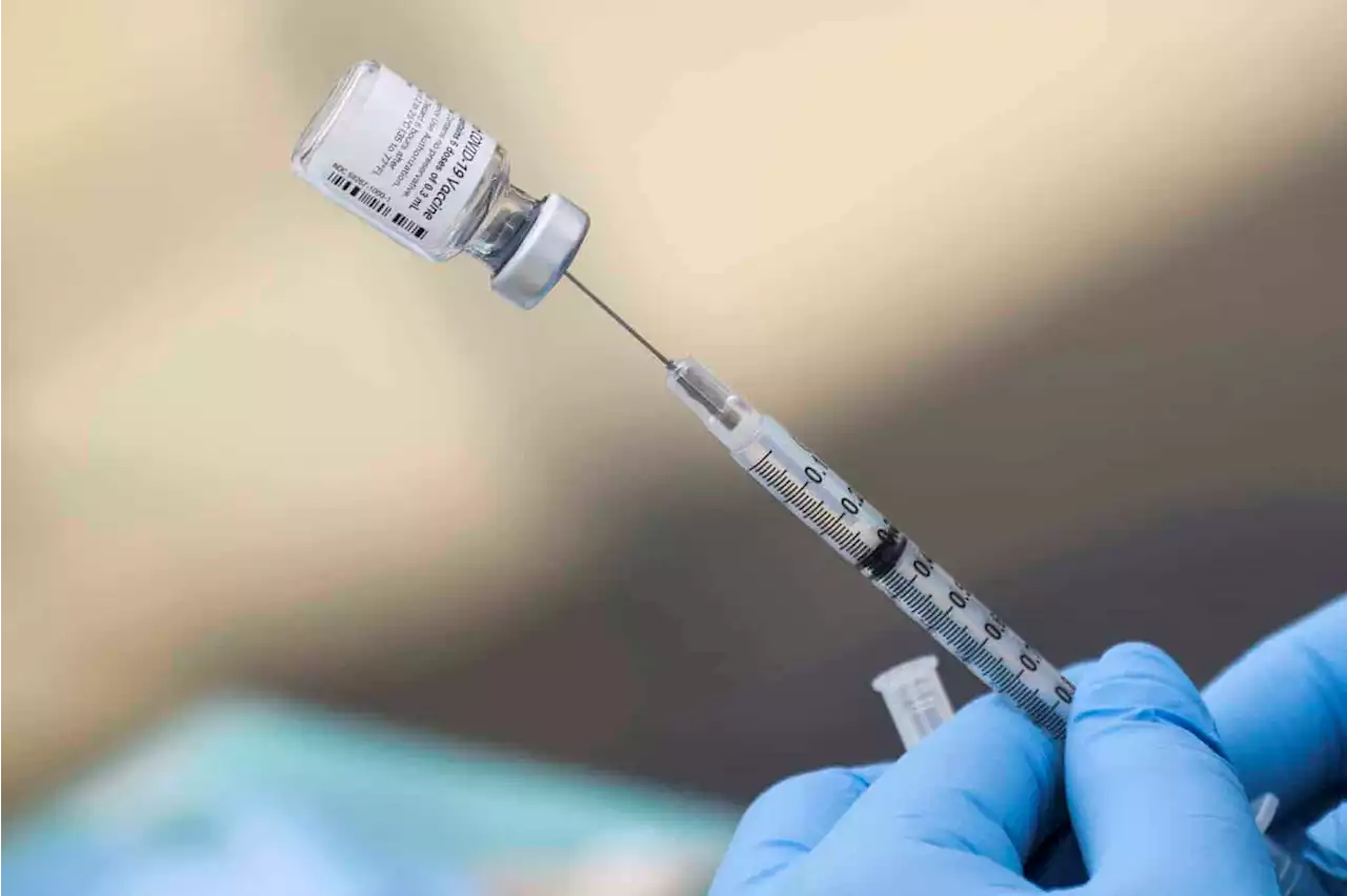 World Bank approves SA’s R7.6bn loan for Covid vaccines | The Citizen